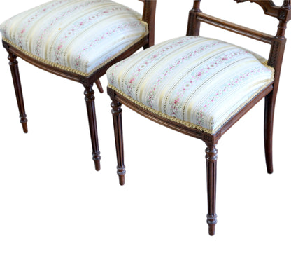 Pair, Antique Mahogany Lyre Back Side Chairs