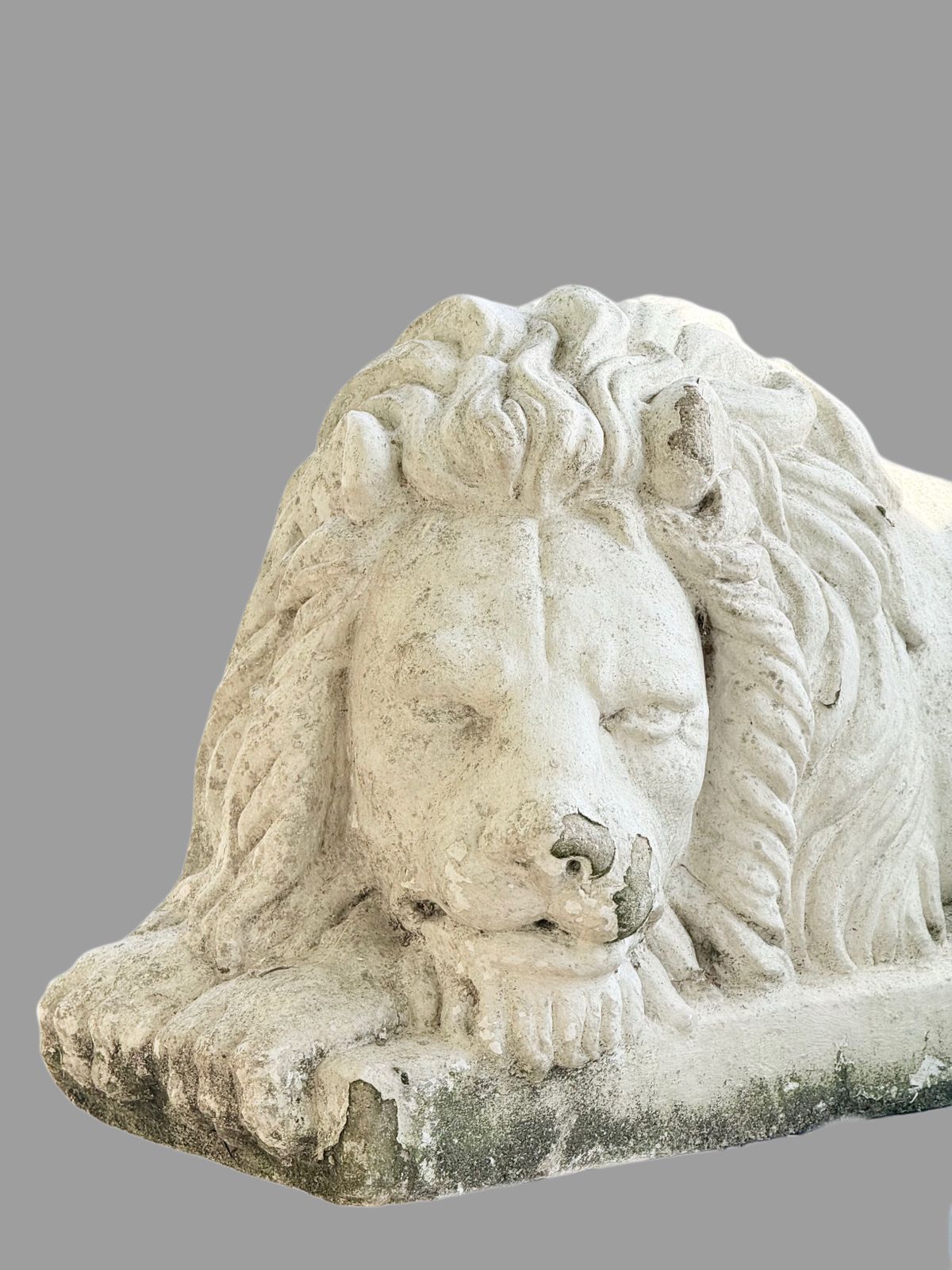 Close-up of sleeping lion head with flowing mane, cast stone