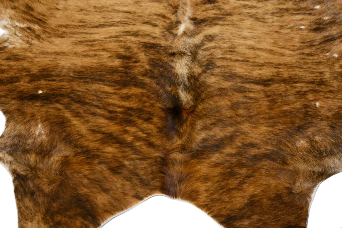 Close-up of dark spine markings on the brindle cowhide rug