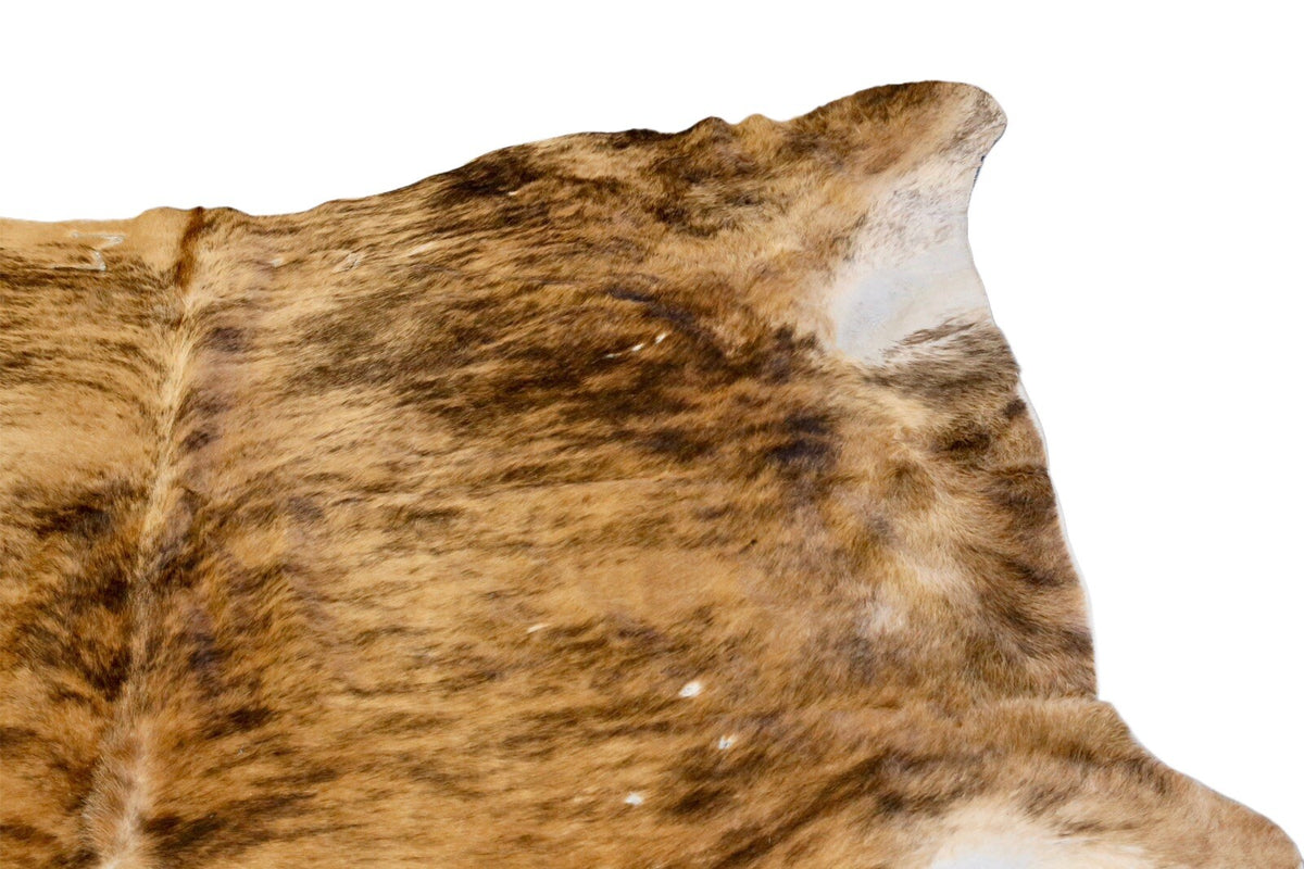 Close-up of striped brindle hair, Brazilian cowhide