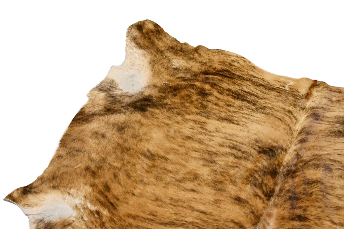Close-up of brindle markings and pale edge on the cowhide rug