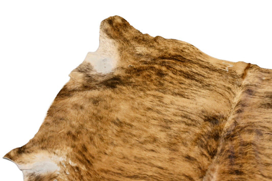 Close-up of brindle markings and pale edge on the cowhide rug