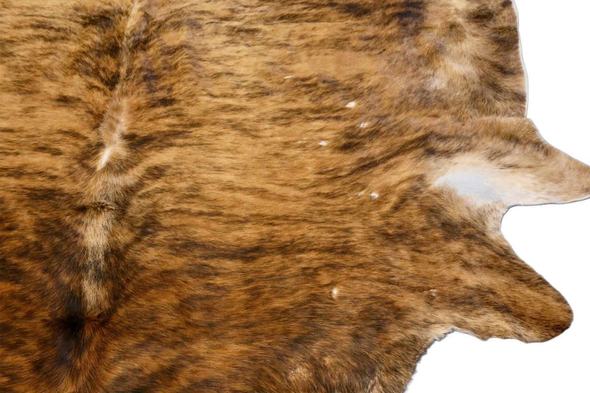 Close-up of cowhide rug edge with white patch and brindle stripes